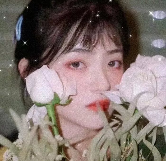鹡鸰女神第一季