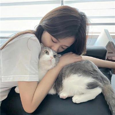 电视拍手者